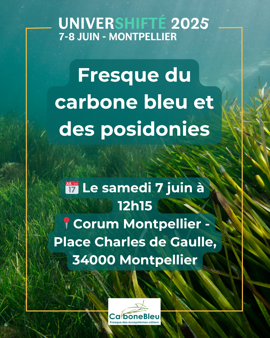 Fresque du carbone bleu et des posidonies pour l'univershifté 2025