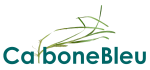 Carbone Bleu
